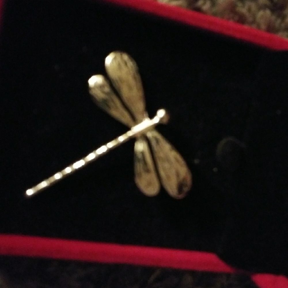 SS Dragonfly Necklace Charm